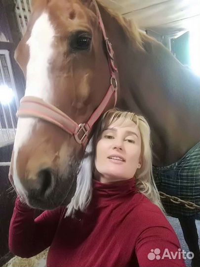 Зоотехник, руководитель предприятия