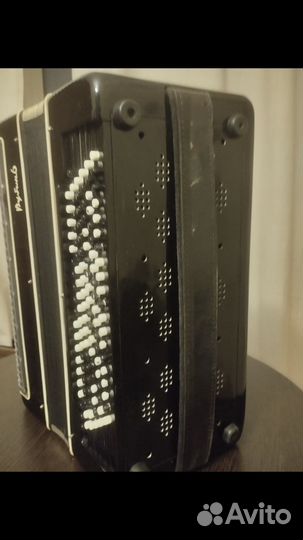 Баян рубин 6