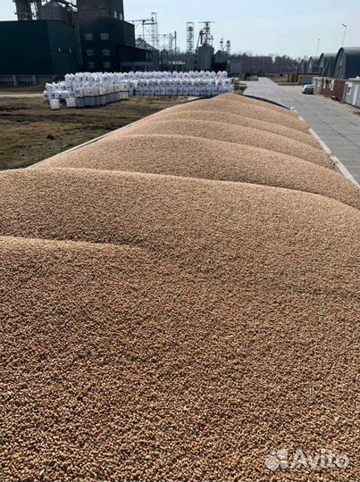 Зерновоз услуги тонаров перевозка с/х продукции