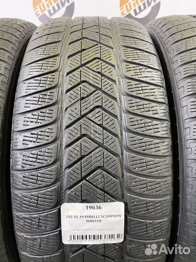 Pirelli Scorpion Winter 255/55 R19