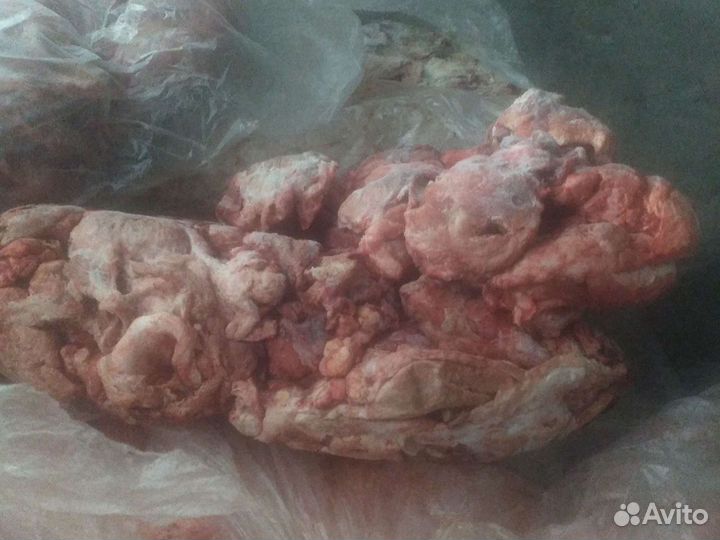 Корма для животных