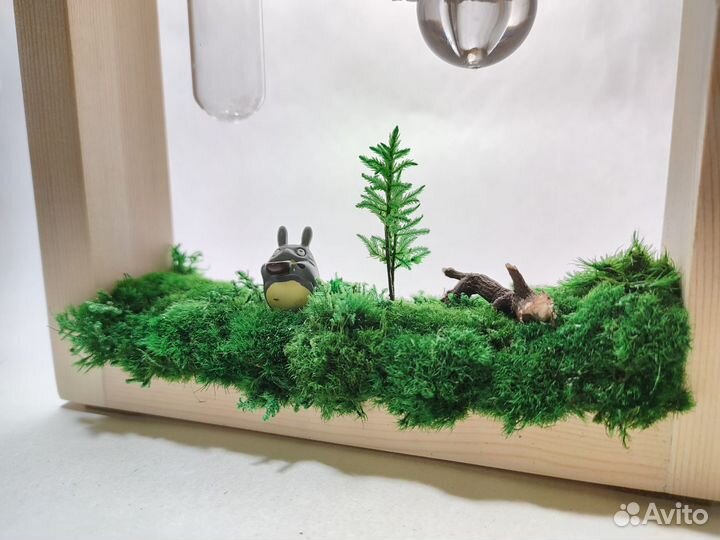 Рамка для цветов и сухоцветов