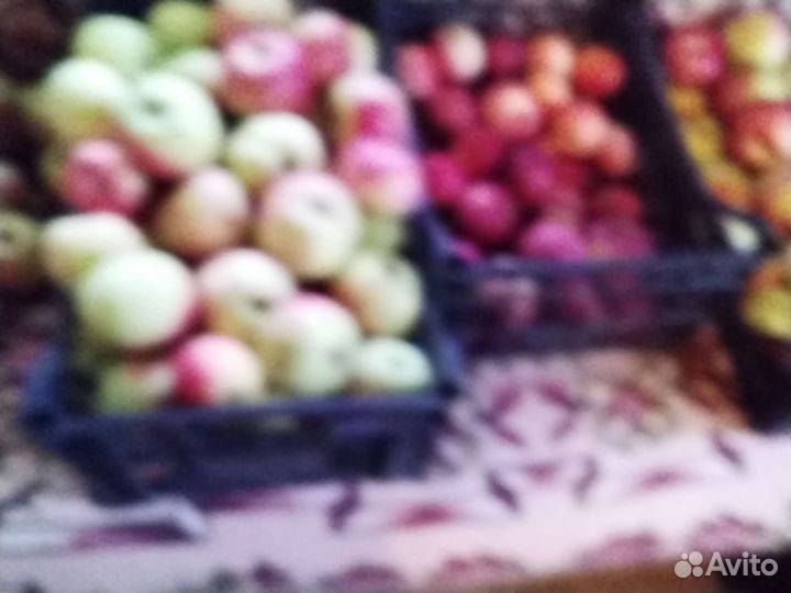 Яблоки домашние