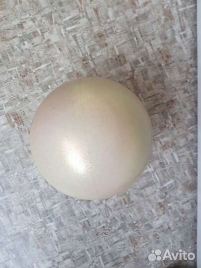 Мяч гимнастический 18