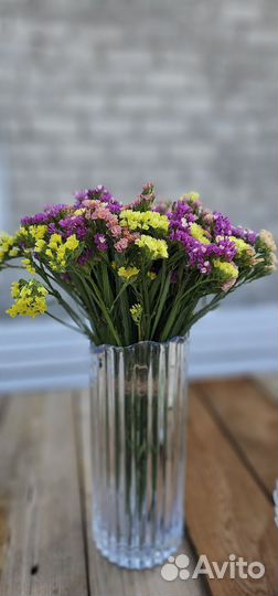 Статица сухоцвет. кермек