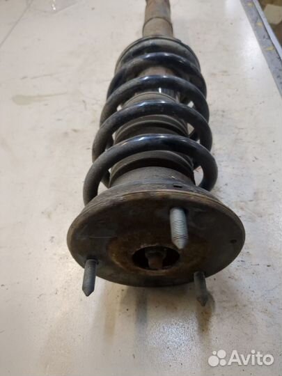 Амортизатор подвески левый передний Lexus IS, 2008