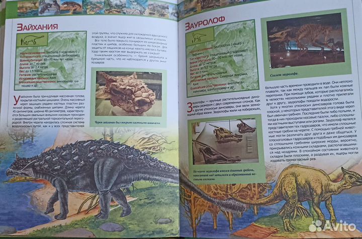 Динозавры. Что Зачем Почему