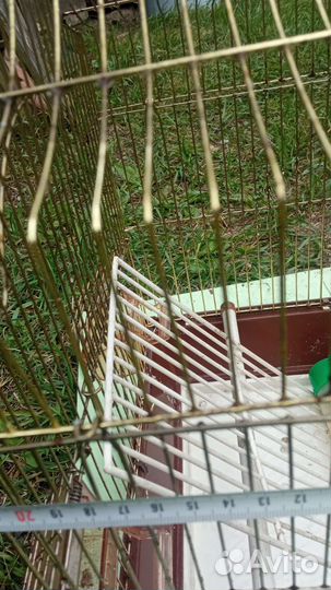 Клетка для птиц