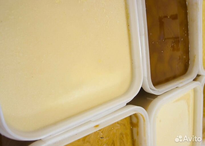 2024 Мед натуральный из Алтая опт