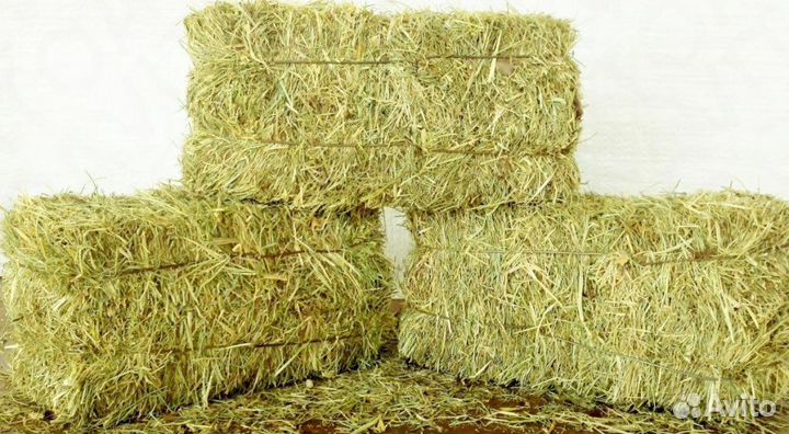 Сено в тюках по 20 кг зеленое, Солома