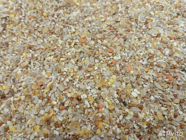 Зерносмесь