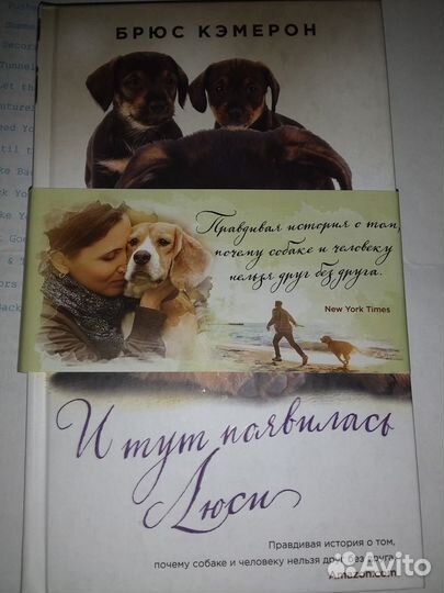 Книги новые про собак