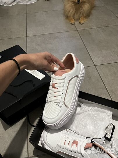 Armani exchange кеды