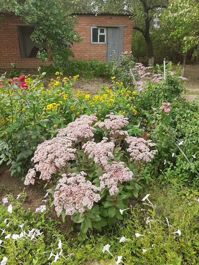 Дом 70 м² на участке 5 сот.