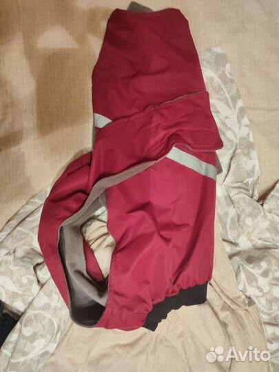 Зимняя одежда для собак