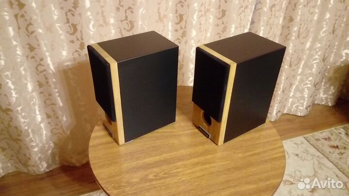 DIY акустика Fostex P1000K