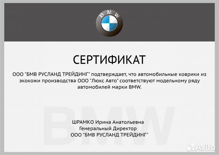 3D Коврики BMW 5 серии из Экокожи