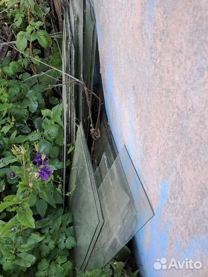 Отдам бесплатно