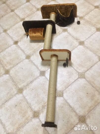 Комплексы настенные с когтеточками и полками