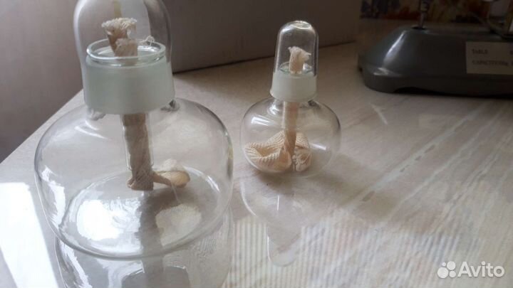 Весы лабораторные, калибровочные гири,спиртовка