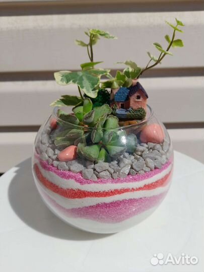 Подарок Флорариум в стекле