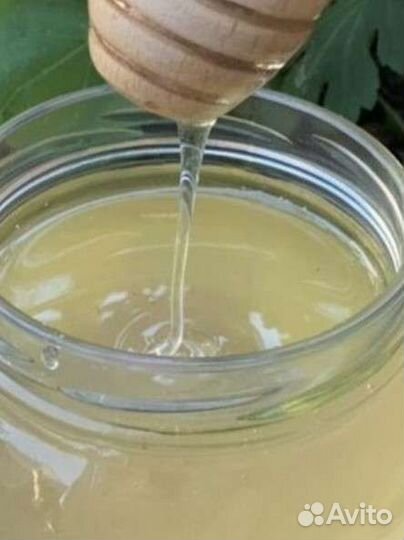 Мед натуральный урожай 2023