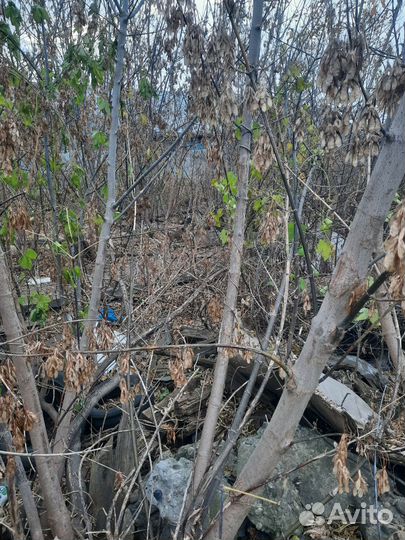 Заберите щенков