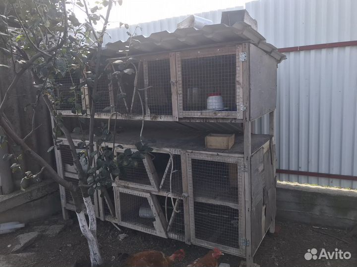Клетка для кролика