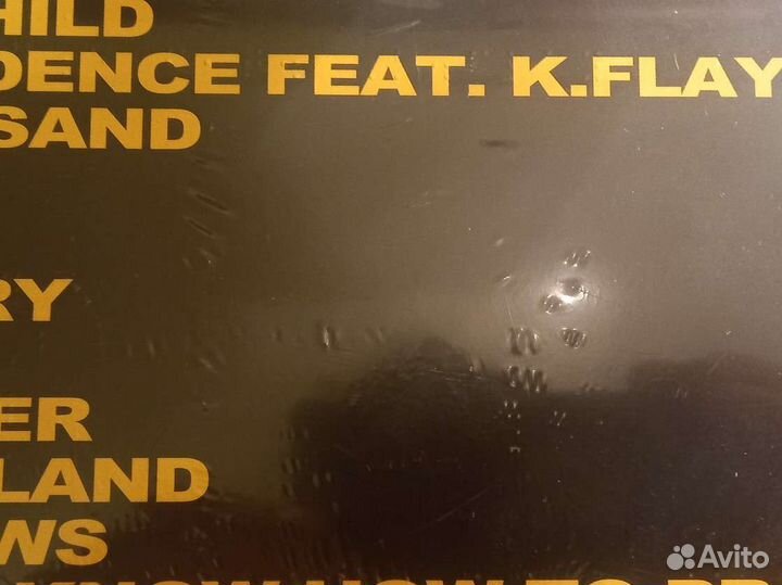 X Ambassadors Orion LP