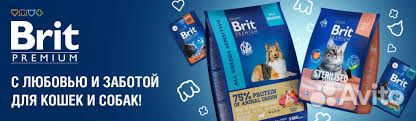 Корм Brit