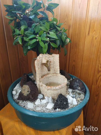 Фонтанчик комнатный