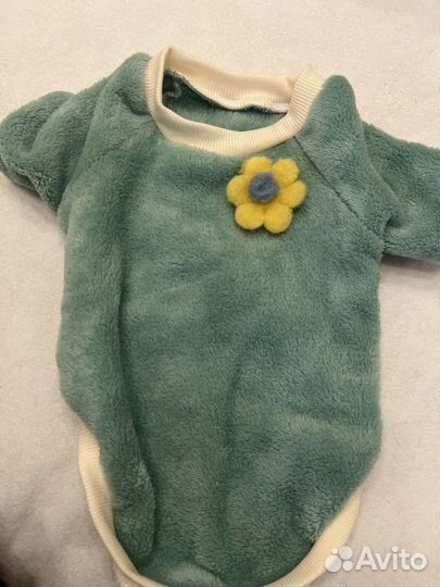 Одежда для маленьких собак xs