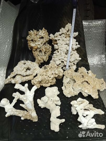 Для морского аквариума