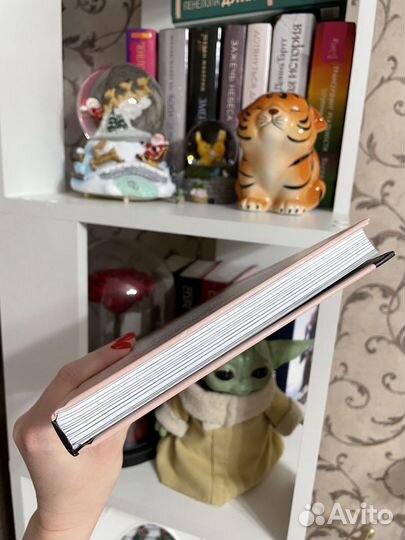 GirlBoss София Аморузо