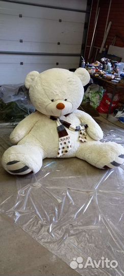 Продам медведя