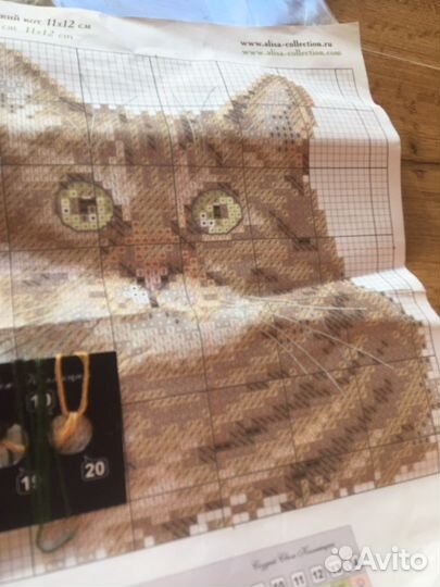 Вышивка крестом Алиса Европейский кот