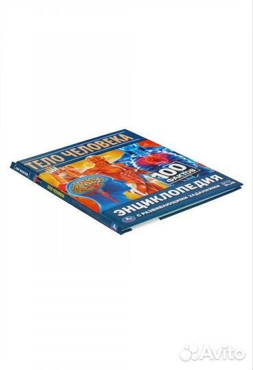 Анатомия тело человека