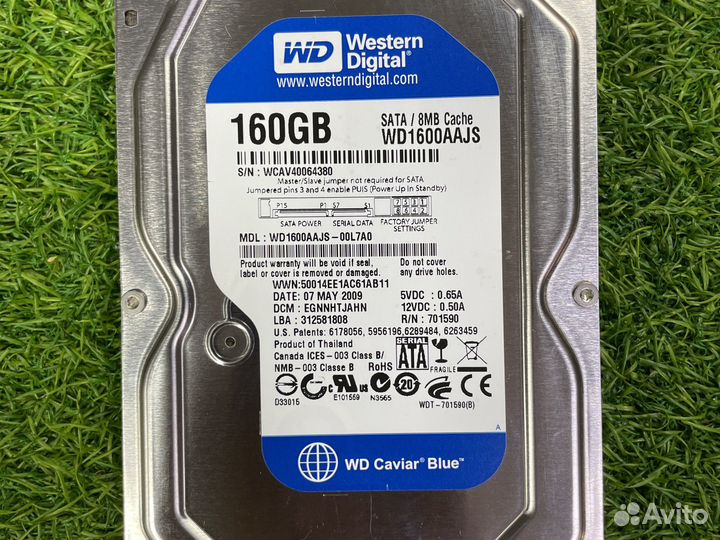 Western Digital WD Blue 160 гб WD1600aajs