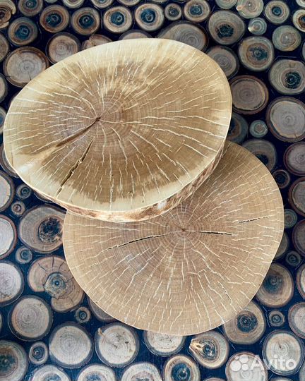 Спилы березовые