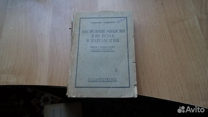 Анаэробные микробы и их роль в патологии