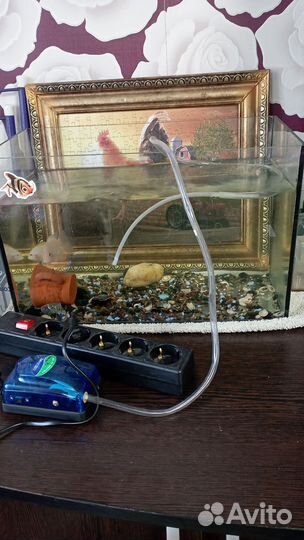 Аквариум
