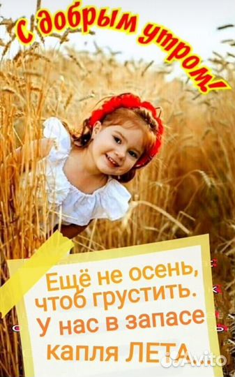 Продам семенной ячмень