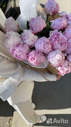 Букет пионов доставка
