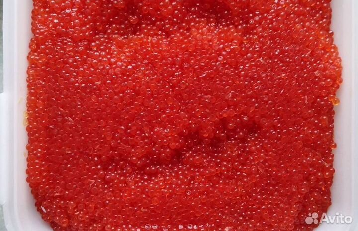 Красная икра горбуши. Вылов июль 2023 года
