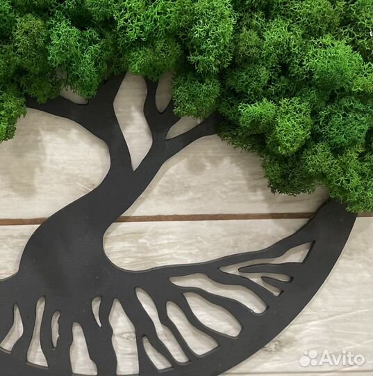 Панно из стабилизированного мха Дерево жизни