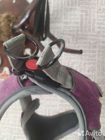 Тяговая шлейка для собак крупной породы