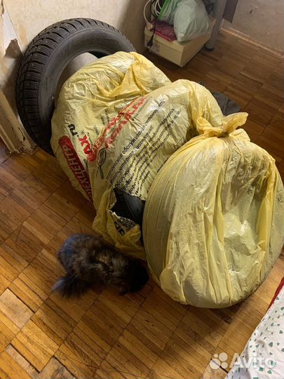 Tigar Sigura Stud 185/65 R15 92T