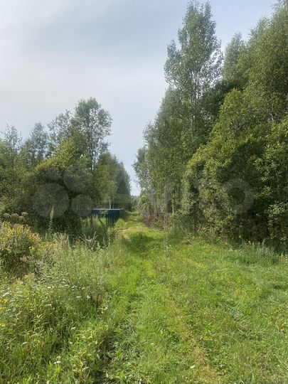 Участок 16 сот. (ИЖС)