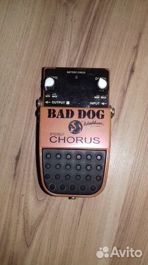 Bad Dog Chorus USA