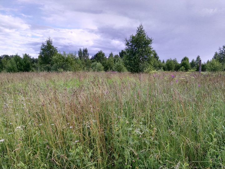 Участок 11 сот. (ИЖС)